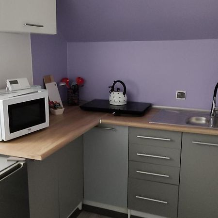 Apartament "Jelen" Jelenia Gora Apartman Kültér fotó