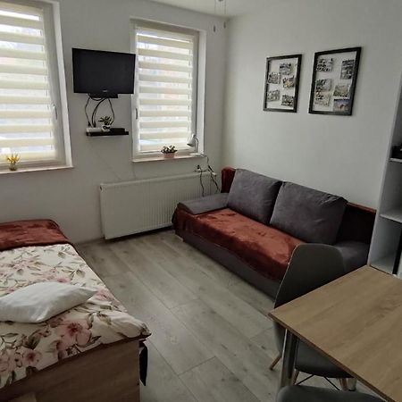 Apartament "Jelen" Jelenia Gora Apartman Kültér fotó